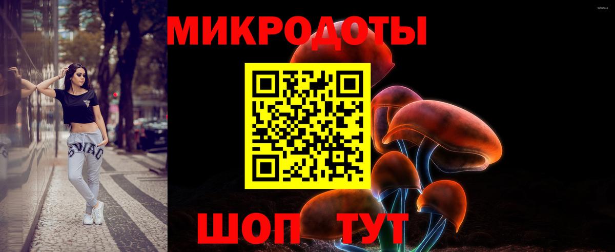 ГАШ  Конопля  МЕФ   Сертолово  Вход с VPN  A PVP СК  